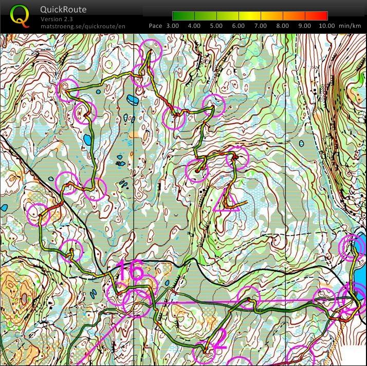 Short Middle Distance (03/08/2010)