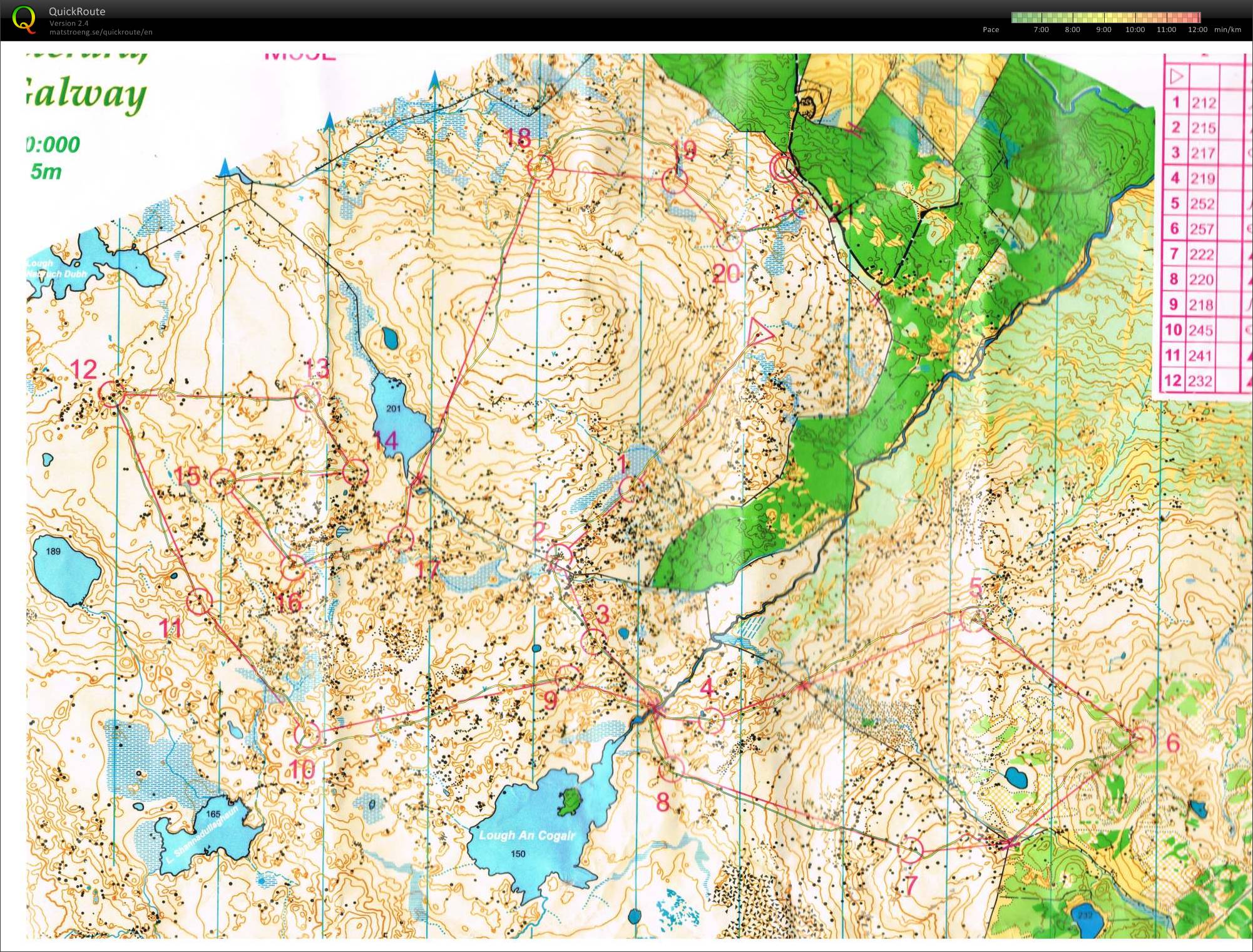 Irish Championships Classic W21E (05/05/2013)